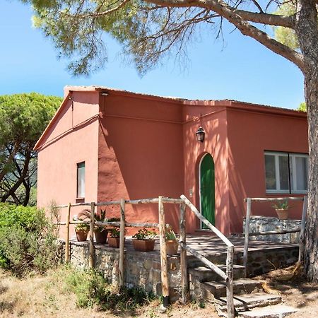 Rocchette  Tenuta Le Rocchette المظهر الخارجي الصورة