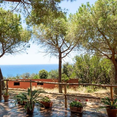 Rocchette  Tenuta Le Rocchette المظهر الخارجي الصورة