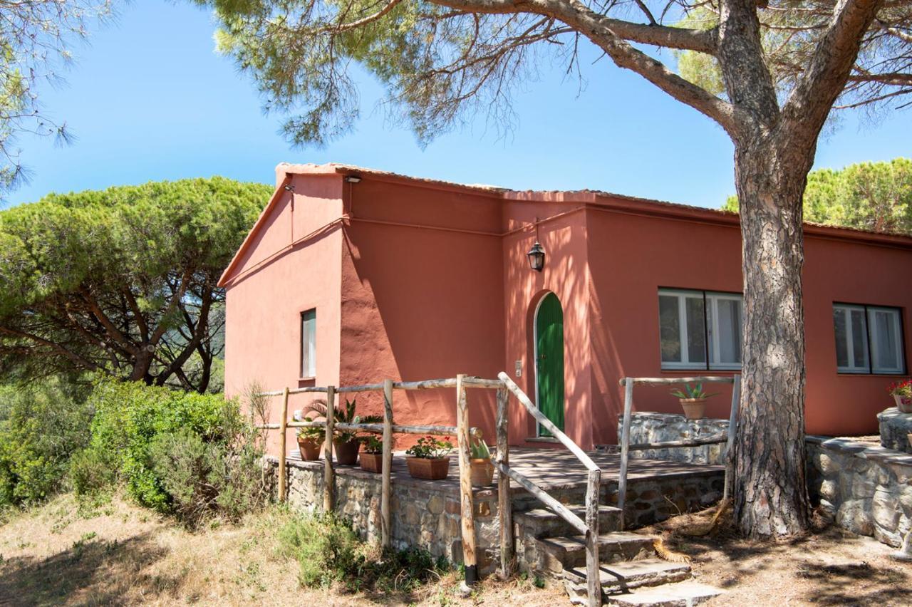 Rocchette  Tenuta Le Rocchette المظهر الخارجي الصورة