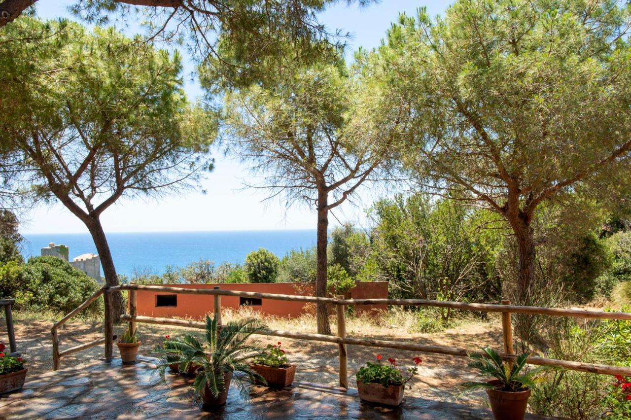 Rocchette  Tenuta Le Rocchette المظهر الخارجي الصورة
