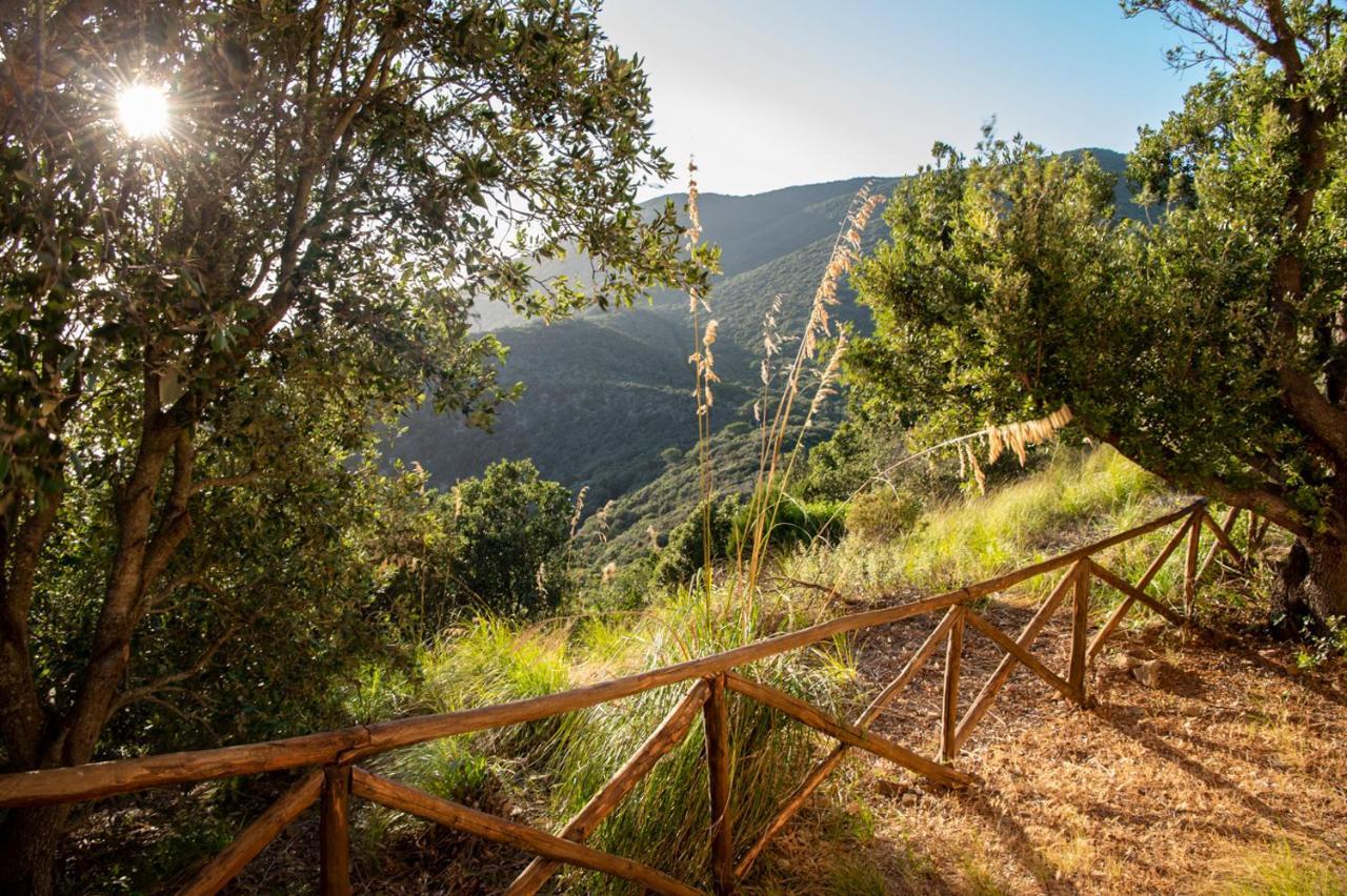 Rocchette  Tenuta Le Rocchette المظهر الخارجي الصورة