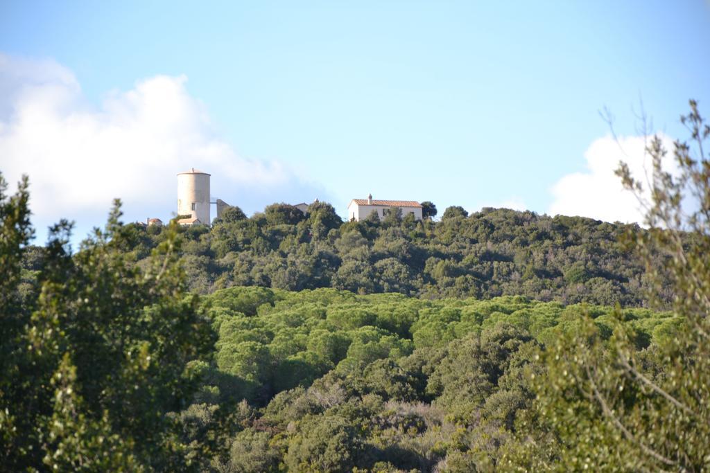 Rocchette  Tenuta Le Rocchette المظهر الخارجي الصورة